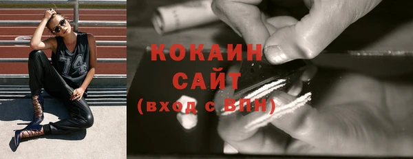 кокс Белокуриха