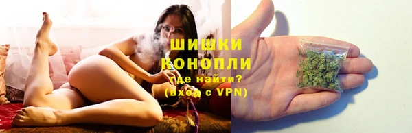 кокс Белокуриха