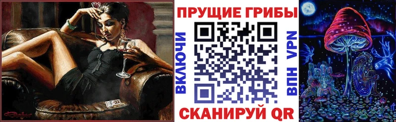 площадка наркотические препараты  Бутурлиновка  Псилоцибиновые грибы Cubensis 